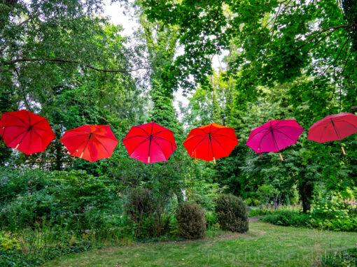 Wettbewerb II. Quartal 2025 Farbe Rot